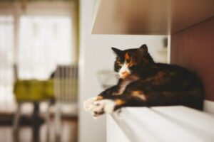 Tip: Verwarming