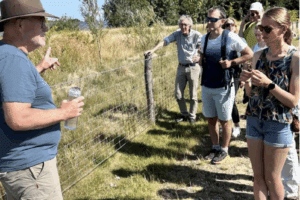 Natuur zonnepark Klarenbeek komt langzaam op stoom